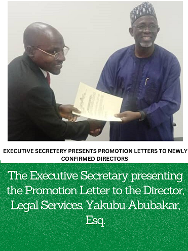 Director of Legal Services